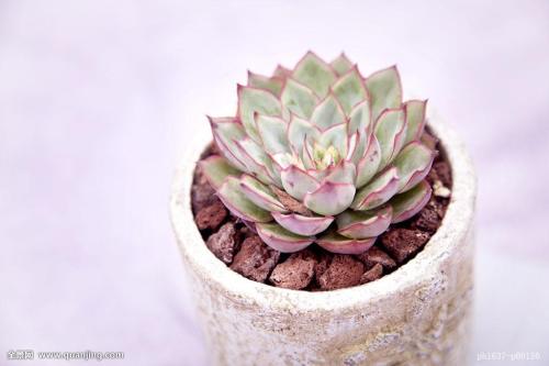 ֯ȫۼ¹ȷﲡ79673754