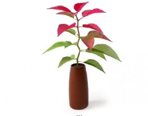 ںӹ2ȷ1֢״Ⱦг̹켣