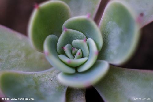 籩Ϯ ½߷ٳÿСʱ100